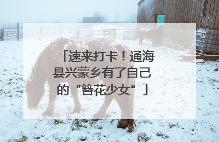速来打卡！通海县兴蒙乡有了自己的“簪花少女”