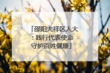 邵阳大祥区人大：践行代表使命 守护百姓健康