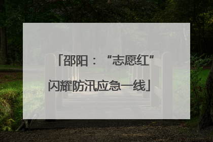 邵阳：“志愿红”闪耀防汛应急一线