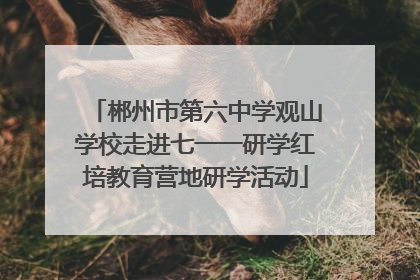 郴州市第六中学观山学校走进七一一研学红培教育营地研学活动