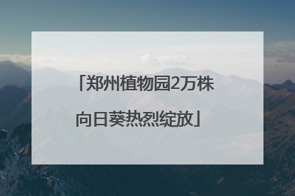 郑州植物园2万株向日葵热烈绽放