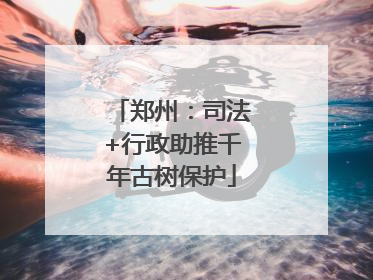 郑州：司法+行政助推千年古树保护