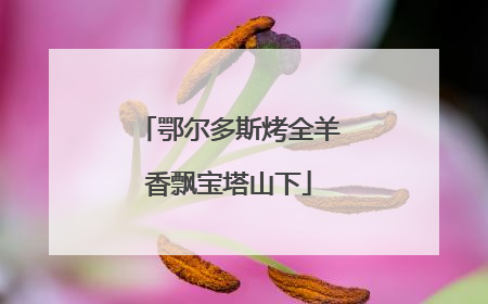 鄂尔多斯烤全羊香飘宝塔山下