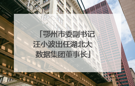 鄂州市委副书记汪小波出任湖北大数据集团董事长