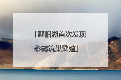 鄱阳湖首次发现彩鹮筑巢繁殖
