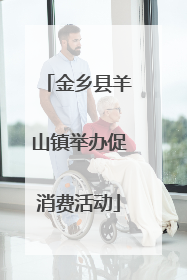 金乡县羊山镇举办促消费活动