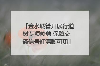 金水城管开展行道树专项修剪 保障交通信号灯清晰可见