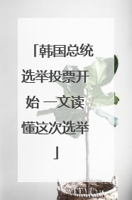 韩国总统选举投票开始 一文读懂这次选举