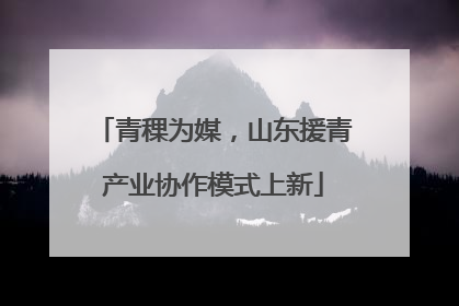 青稞为媒，山东援青产业协作模式上新