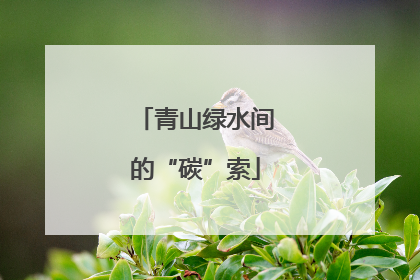 青山绿水间的“碳”索