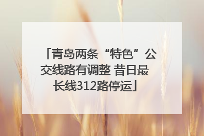 青岛两条“特色”公交线路有调整 昔日最长线312路停运