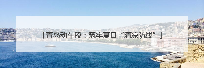 青岛动车段：筑牢夏日“清凉防线”