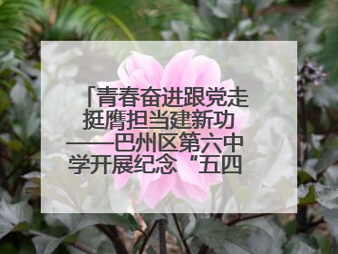 青春奋进跟党走 挺膺担当建新功——巴州区第六中学开展纪念“五四”运动106周年主题团日活动暨新团员入团仪式