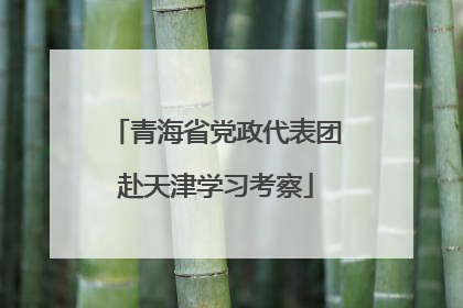 青海省党政代表团赴天津学习考察