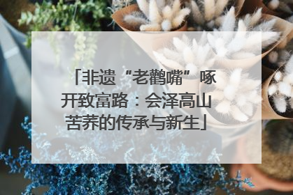 非遗“老鹳嘴”啄开致富路：会泽高山苦荞的传承与新生