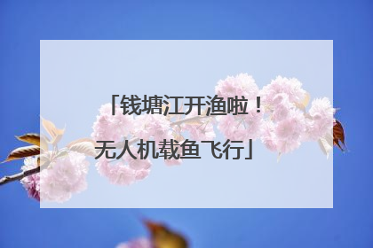 钱塘江开渔啦！无人机载鱼飞行