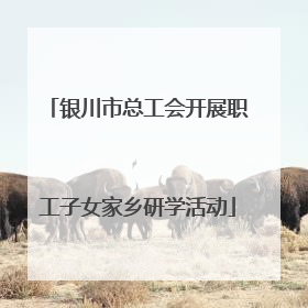 银川市总工会开展职工子女家乡研学活动