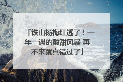铁山杨梅红透了！一年一遇的酸甜风暴 再不来就真错过了