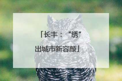 长丰：“绣”出城市新容颜