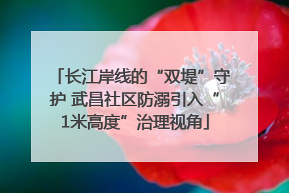 长江岸线的“双堤”守护 武昌社区防溺引入“1米高度”治理视角
