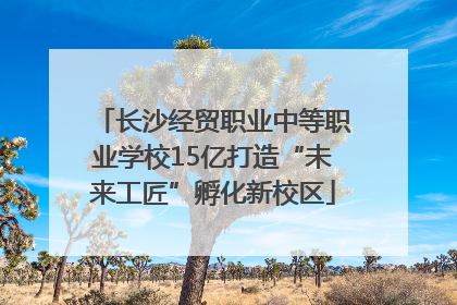 长沙经贸职业中等职业学校15亿打造“未来工匠”孵化新校区