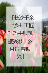 长沙千余“乡村工匠”巧手织就振兴梦｜乡村行·看振兴