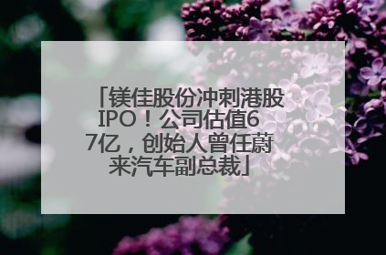 镁佳股份冲刺港股IPO！公司估值67亿，创始人曾任蔚来汽车副总裁