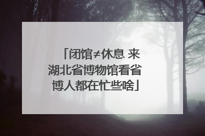 闭馆≠休息 来湖北省博物馆看省博人都在忙些啥