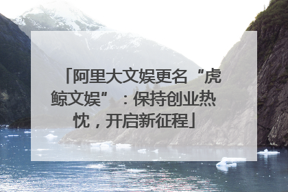 阿里大文娱更名“虎鲸文娱”：保持创业热忱，开启新征程