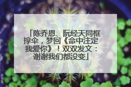 陈乔恩、阮经天同框撑伞，梦回《命中注定我爱你》！双双发文：谢谢我们都没变