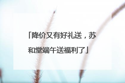 降价又有好礼送，苏和堂端午送福利了