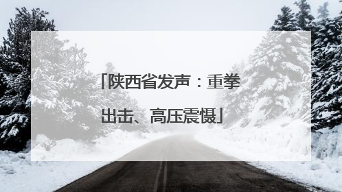 陕西省发声：重拳出击、高压震慑