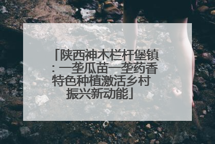 陕西神木栏杆堡镇：一垄瓜苗一垄药香 特色种植激活乡村振兴新动能