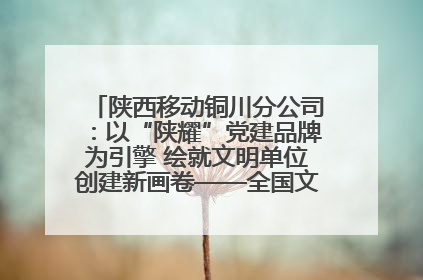 陕西移动铜川分公司：以“陕耀”党建品牌为引擎 绘就文明单位创建新画卷——全国文明单位创建纪实