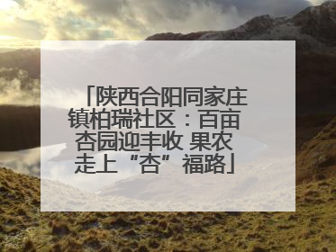 陕西合阳同家庄镇柏瑞社区：百亩杏园迎丰收 果农走上“杏”福路