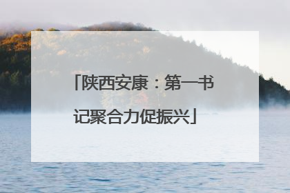 陕西安康：第一书记聚合力促振兴