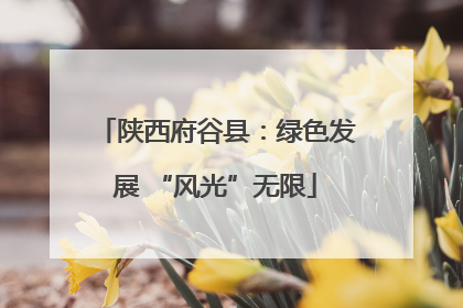 陕西府谷县：绿色发展 “风光”无限