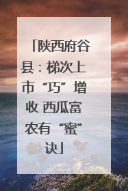 陕西府谷县：梯次上市“巧”增收 西瓜富农有“蜜”诀