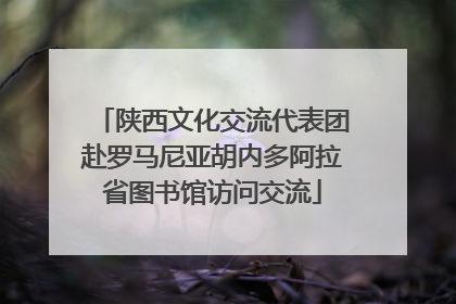 陕西文化交流代表团赴罗马尼亚胡内多阿拉省图书馆访问交流
