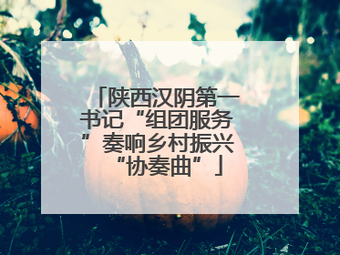 陕西汉阴第一书记“组团服务”奏响乡村振兴“协奏曲”
