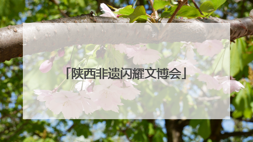 陕西非遗闪耀文博会