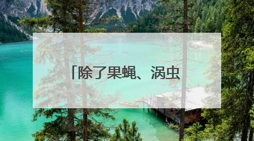 除了果蝇、涡虫 中国空间站还有哪些“动物航天员”