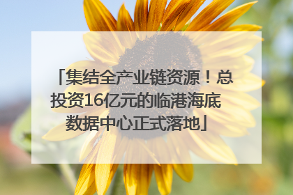 集结全产业链资源！总投资16亿元的临港海底数据中心正式落地