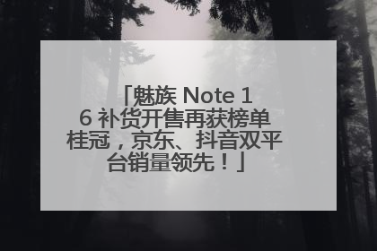魅族 Note 16 补货开售再获榜单桂冠，京东、抖音双平台销量领先！