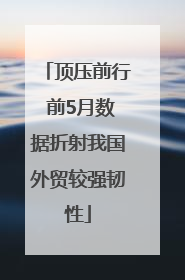 顶压前行 前5月数据折射我国外贸较强韧性