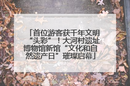 首位游客获千年文明“头彩”！大河村遗址博物馆新馆“文化和自然遗产日”璀璨启幕