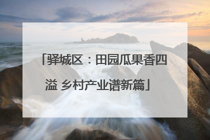 驿城区：田园瓜果香四溢 乡村产业谱新篇