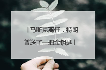 马斯克离任，特朗普送了一把金钥匙