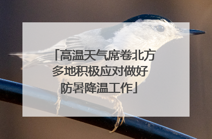 高温天气席卷北方 多地积极应对做好防暑降温工作