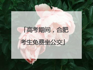 高考期间，合肥考生免费坐公交